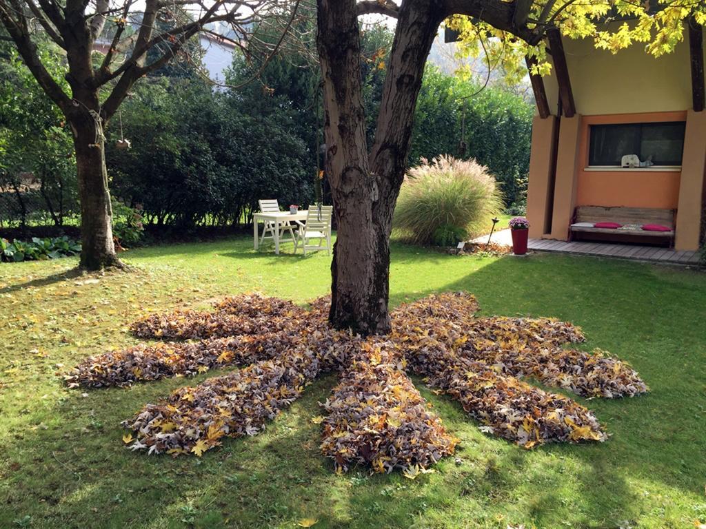 Casa Lo Bed and Breakfast Cesena Eksteriør billede